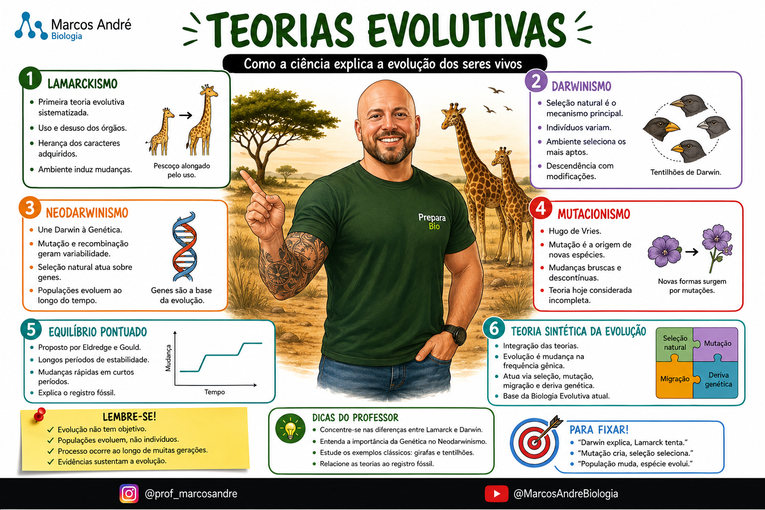 Exemplo real de mapa mental do caderno: Teorias Evolutivas